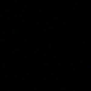 Meet your Posher, Darra